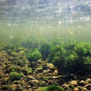 Meet your Posher, Johnny